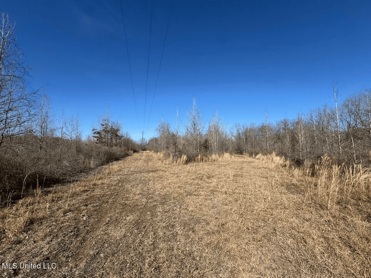 Tensas Riverfront Hunting Land Concordia Parish, LA