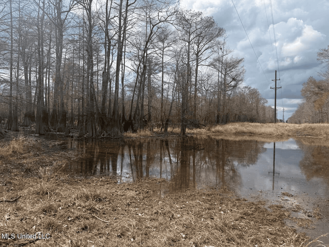 700 Acres in Allen Parish, Louisiana