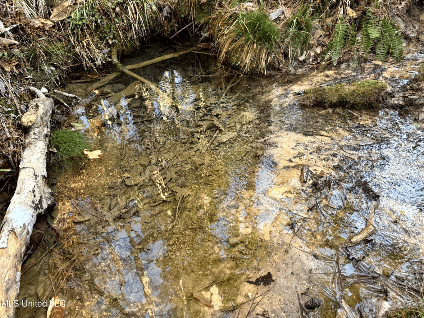 South MS Camp and Land Bordering the National Forest