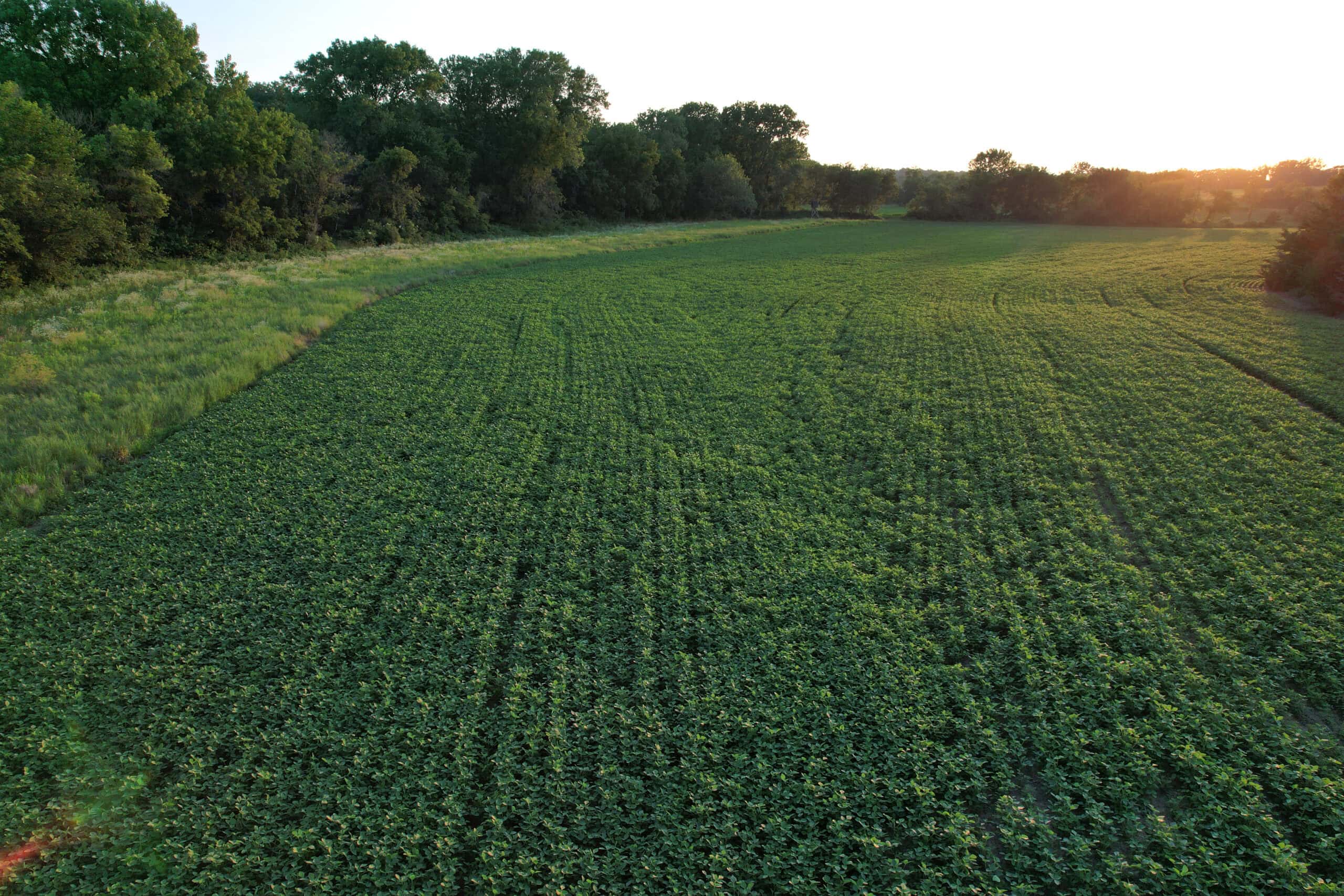 Southern Iowa Combination Hunting Tract