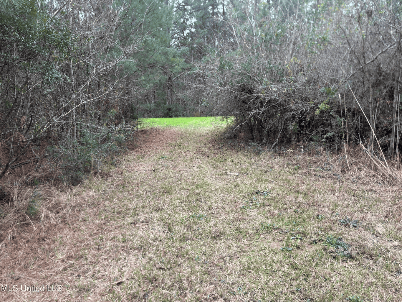 18 Acre Homesite in Magnolia, MS, Pike County