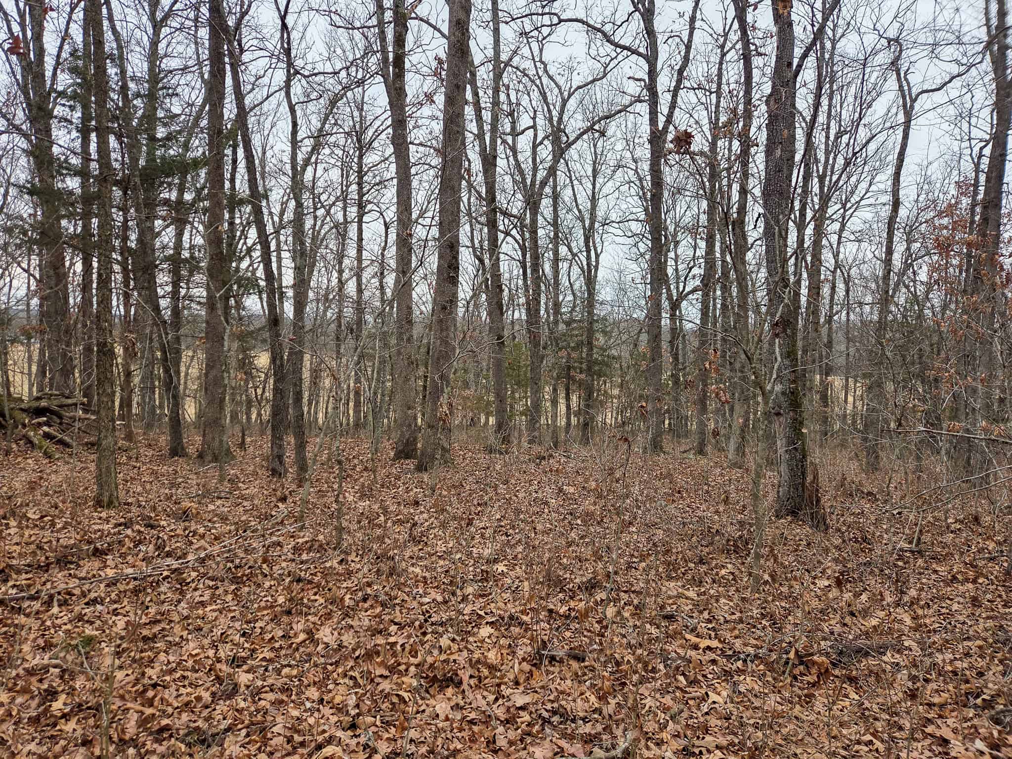 00 N Dade 237 Walnut Grove, MO 65770