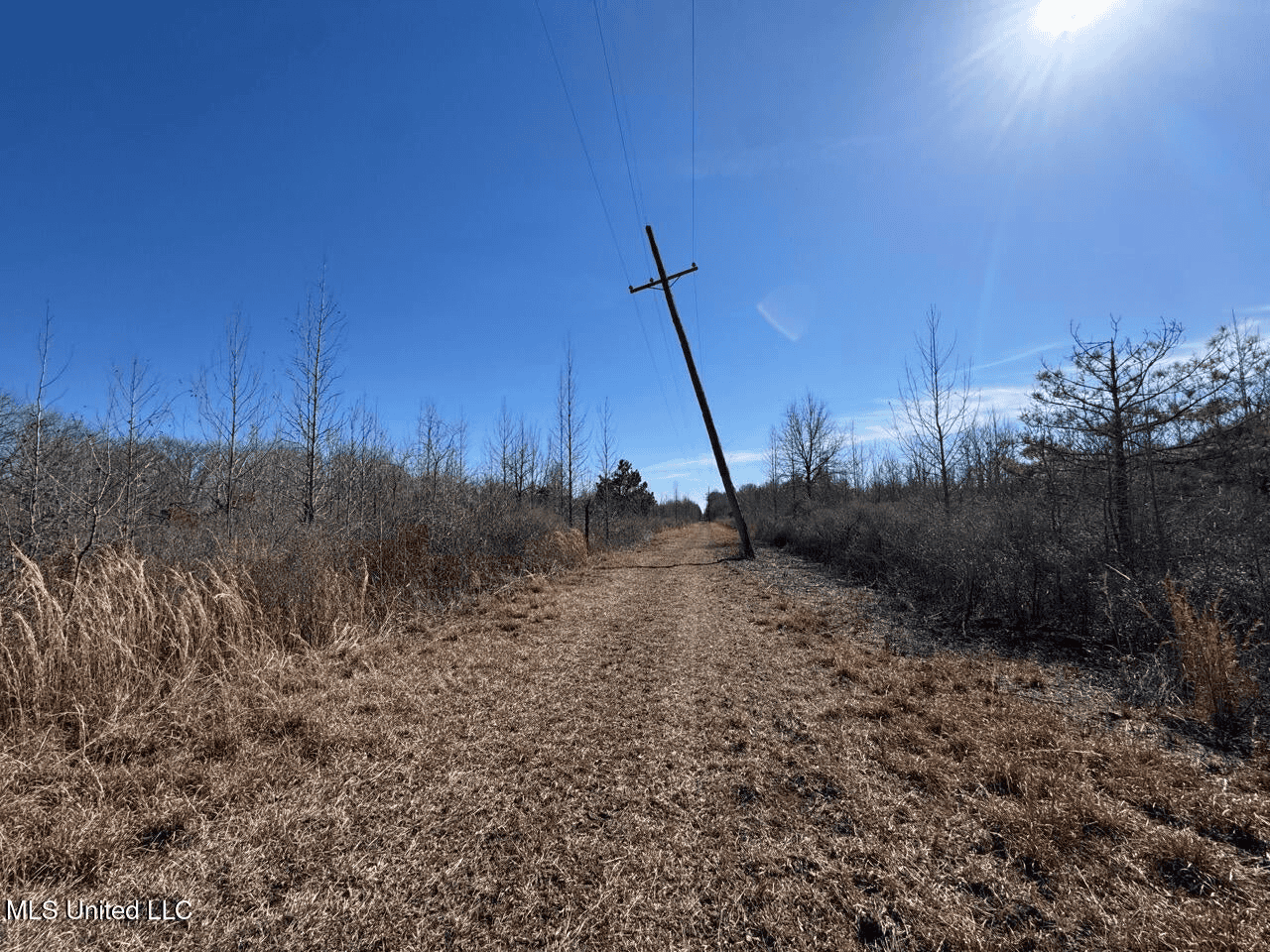 Tensas Riverfront Hunting Land Concordia Parish, LA