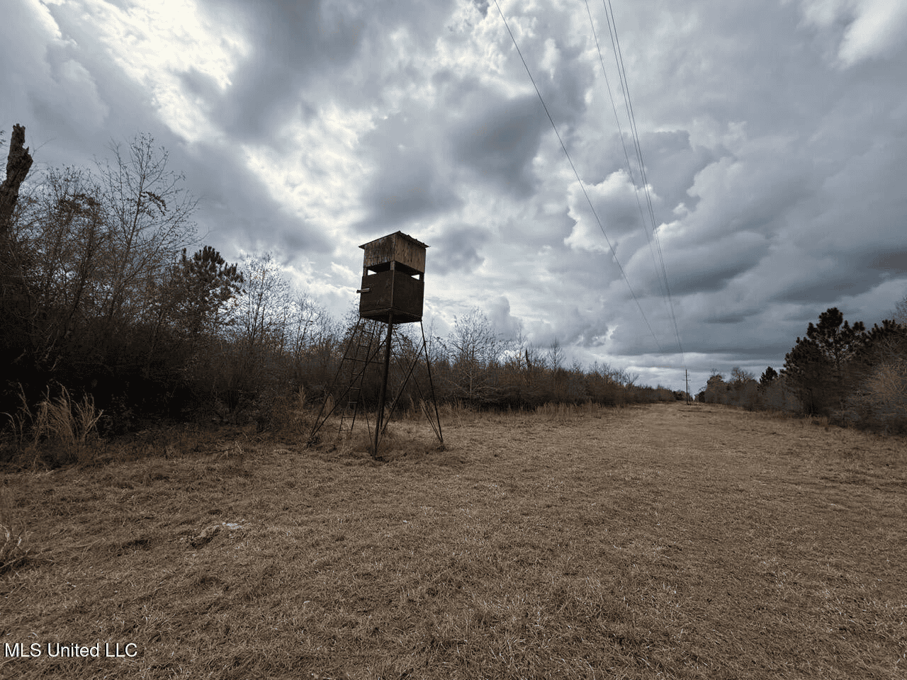700 Acres in Allen Parish, Louisiana