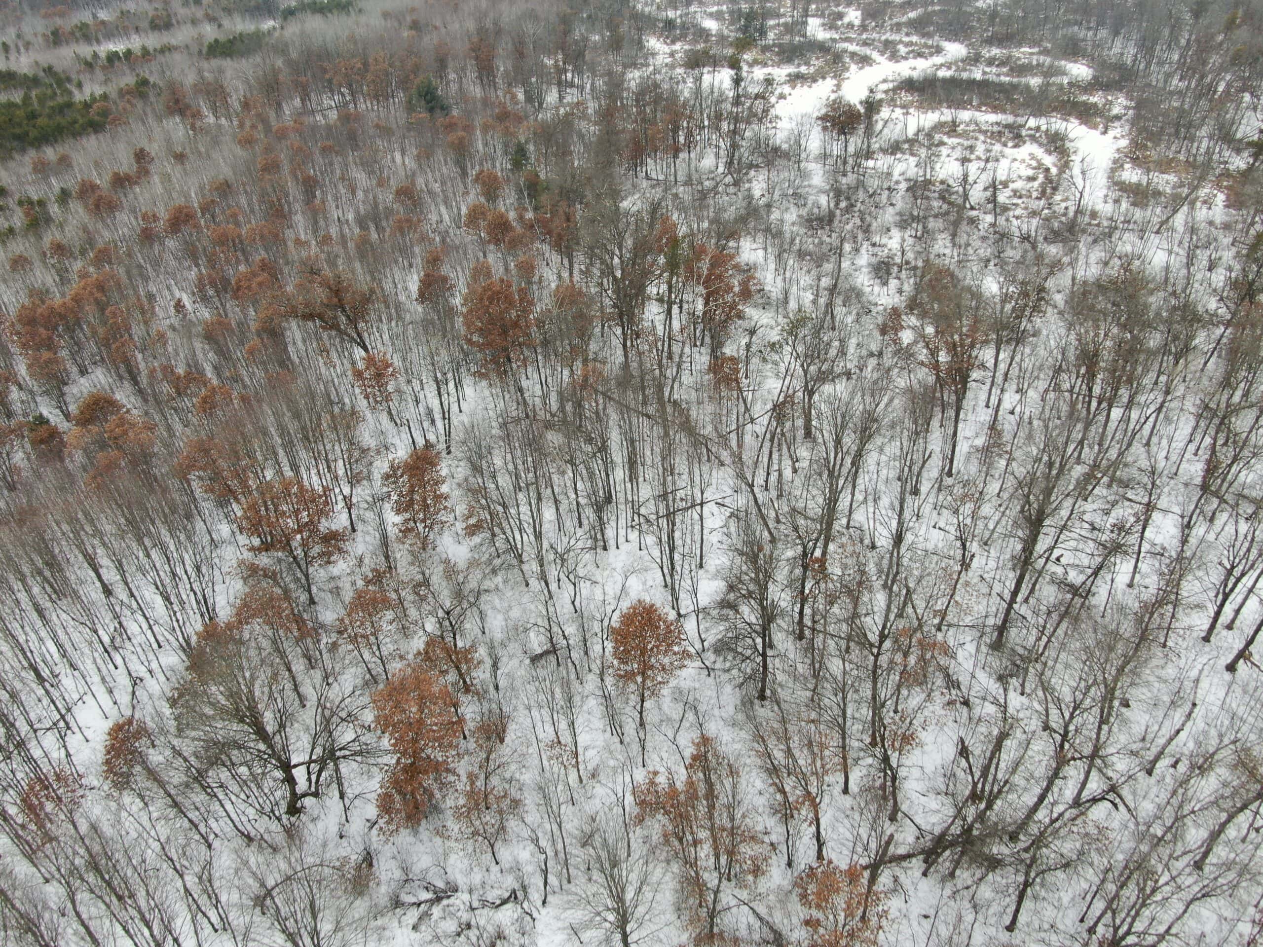 120± Acre Property in the Town of Clearfield, Juneau County
