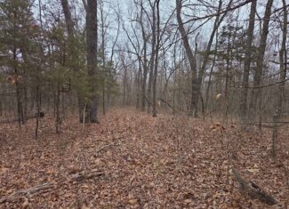 67 N Dade 237 Walnut Grove, MO 65770