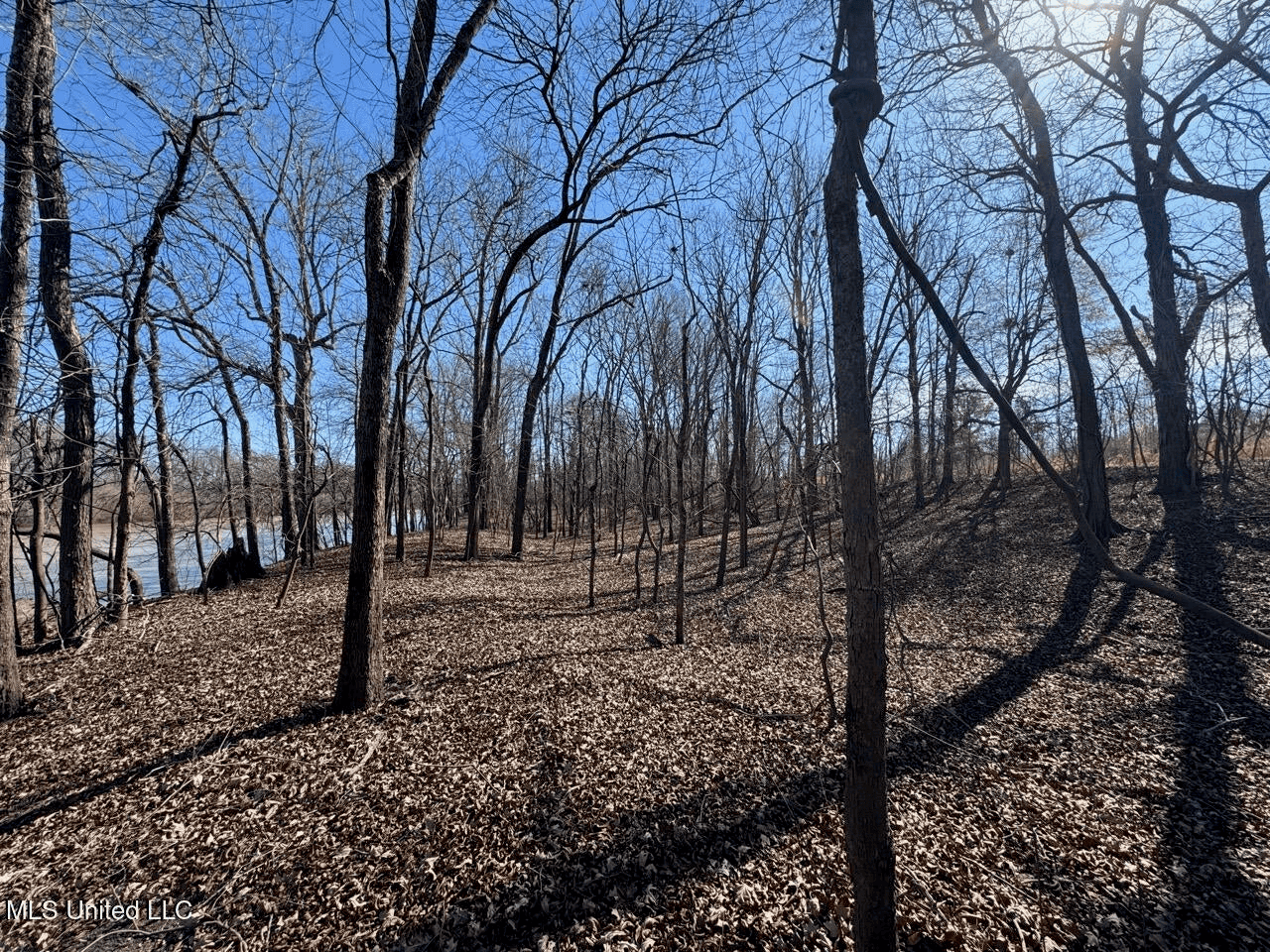 Tensas Riverfront Hunting Land Concordia Parish, LA