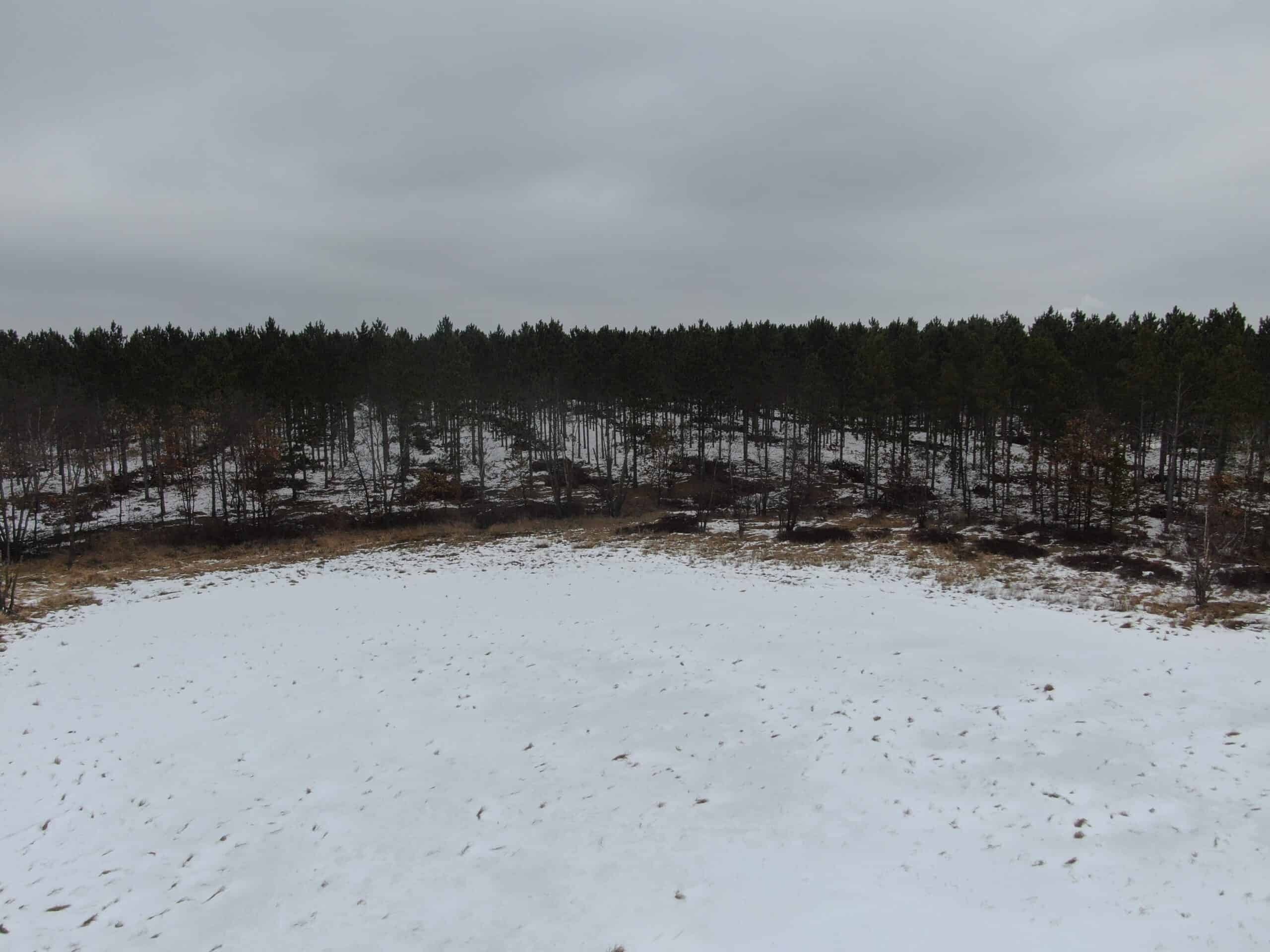 120± acre tract in the Town of Clearfield, Juneau County