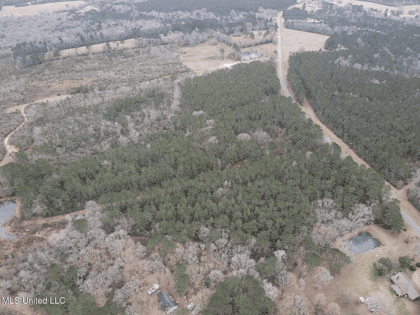 18 Acre Homesite in Magnolia, MS, Pike County