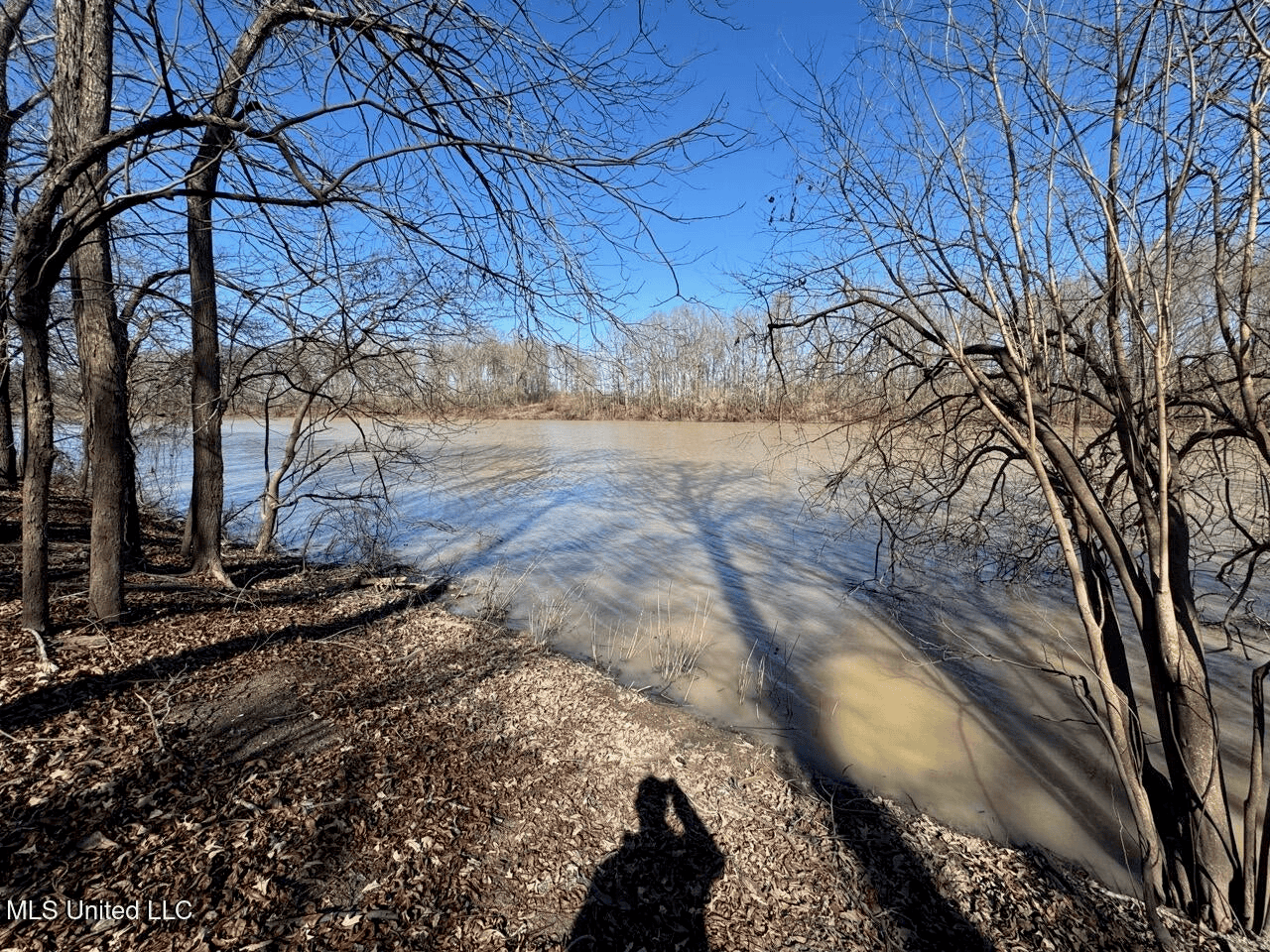Tensas Riverfront Hunting Land Concordia Parish, LA