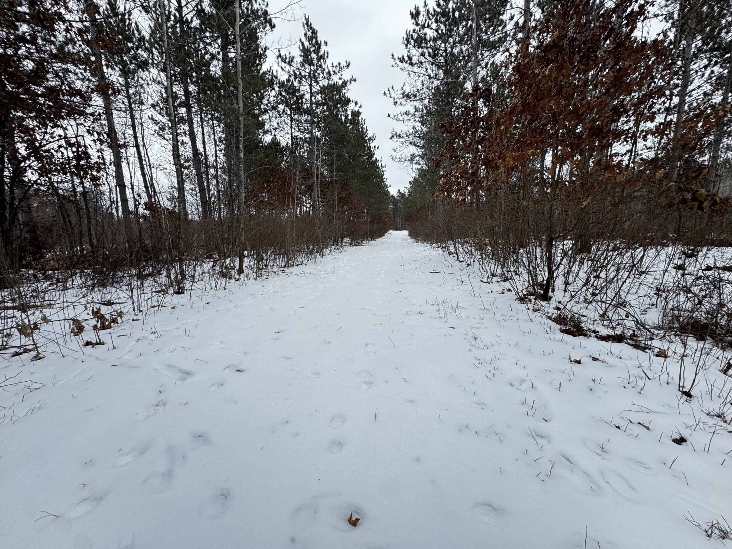 120± acre tract in the Town of Clearfield, Juneau County