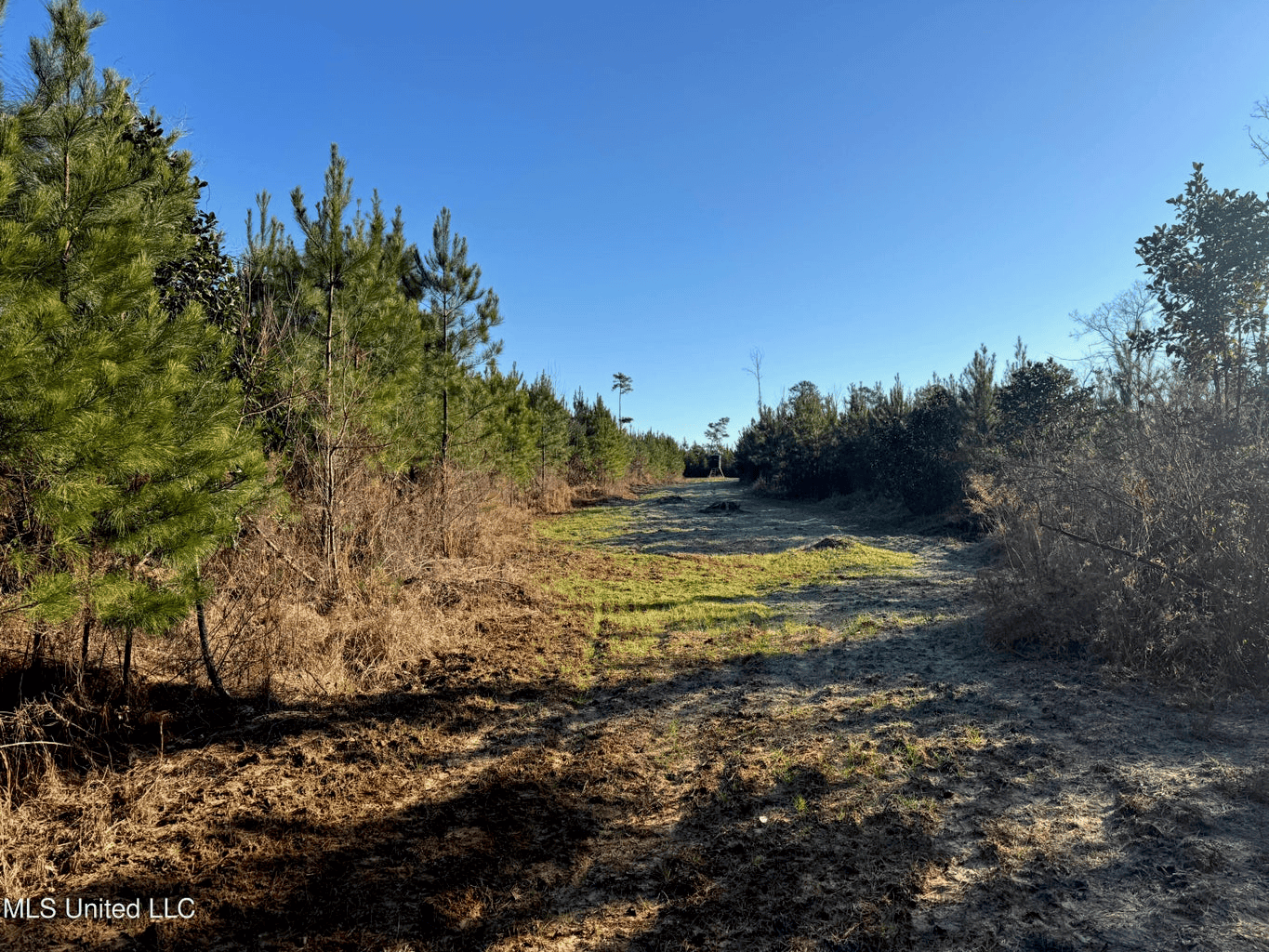 South MS Camp and Land Bordering the National Forest