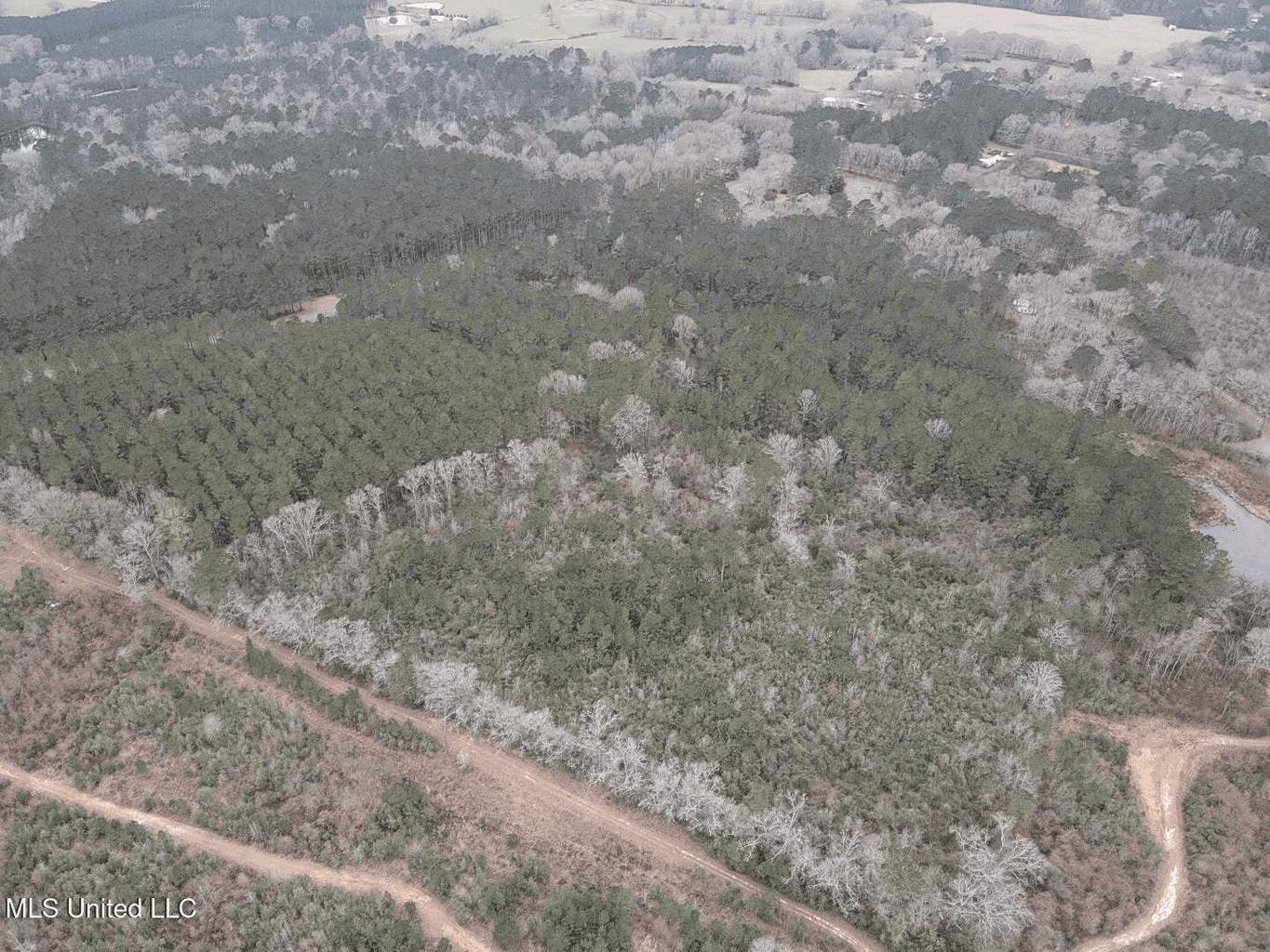 18 Acre Homesite in Magnolia, MS, Pike County