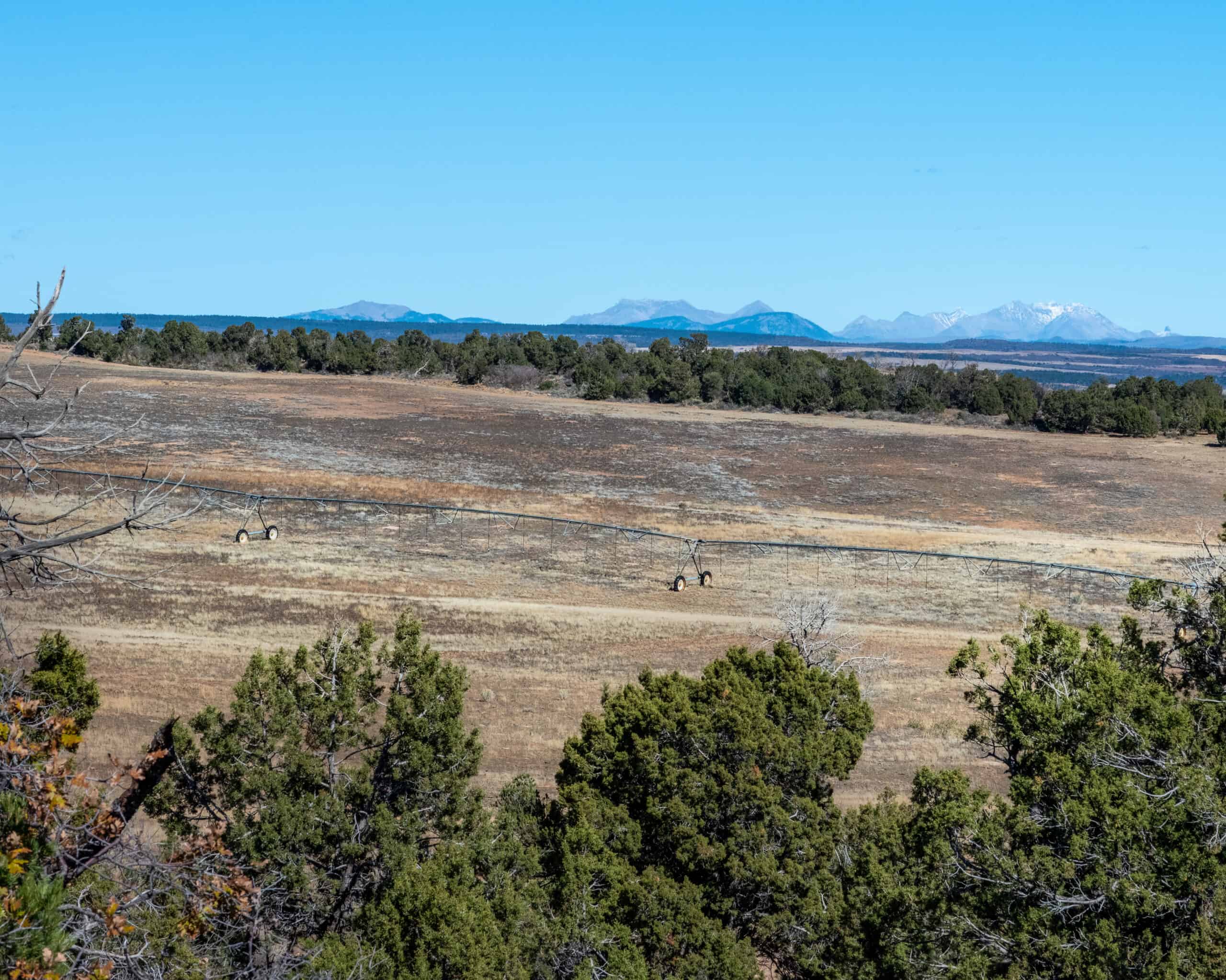 882 Acres Farm near Cortez Colorado For Sale!