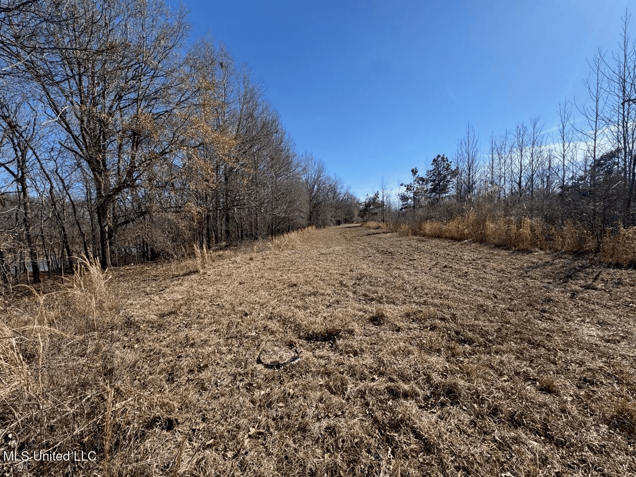 Tensas Riverfront Hunting Land Concordia Parish, LA