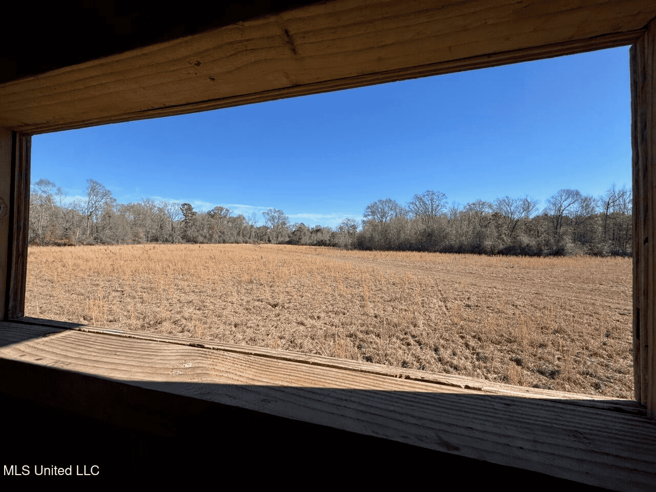 255 Acres East Baton Rouge Parish Near Zachary, LA