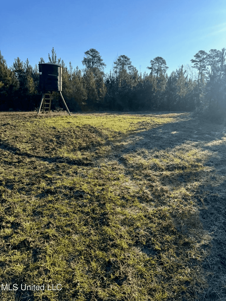 South MS Camp and Land Bordering the National Forest