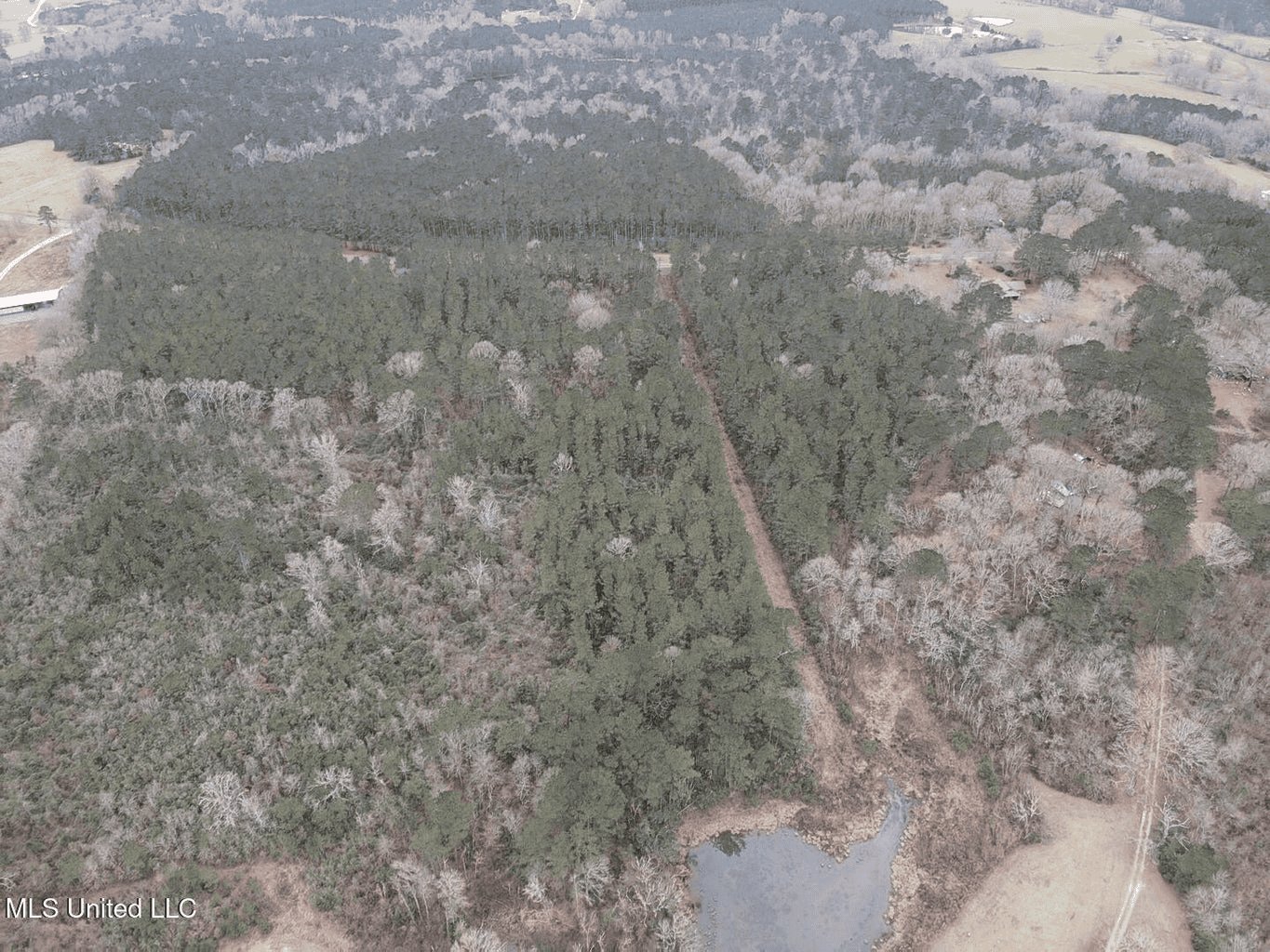 18 Acre Homesite in Magnolia, MS, Pike County
