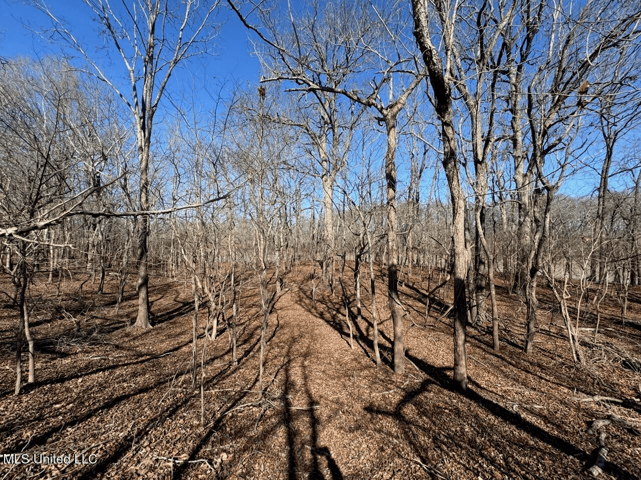 Tensas Riverfront Hunting Land Concordia Parish, LA