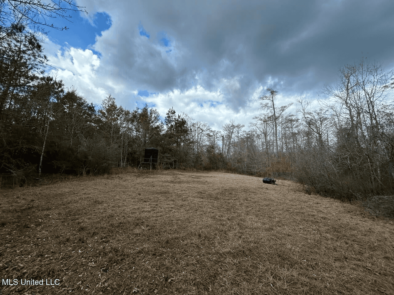 700 Acres in Allen Parish, Louisiana