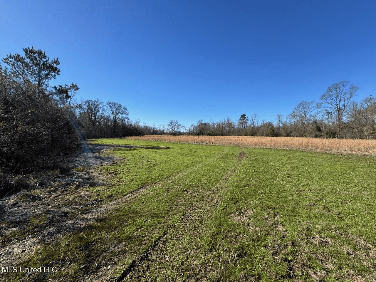 255 Acres East Baton Rouge Parish Near Zachary, LA
