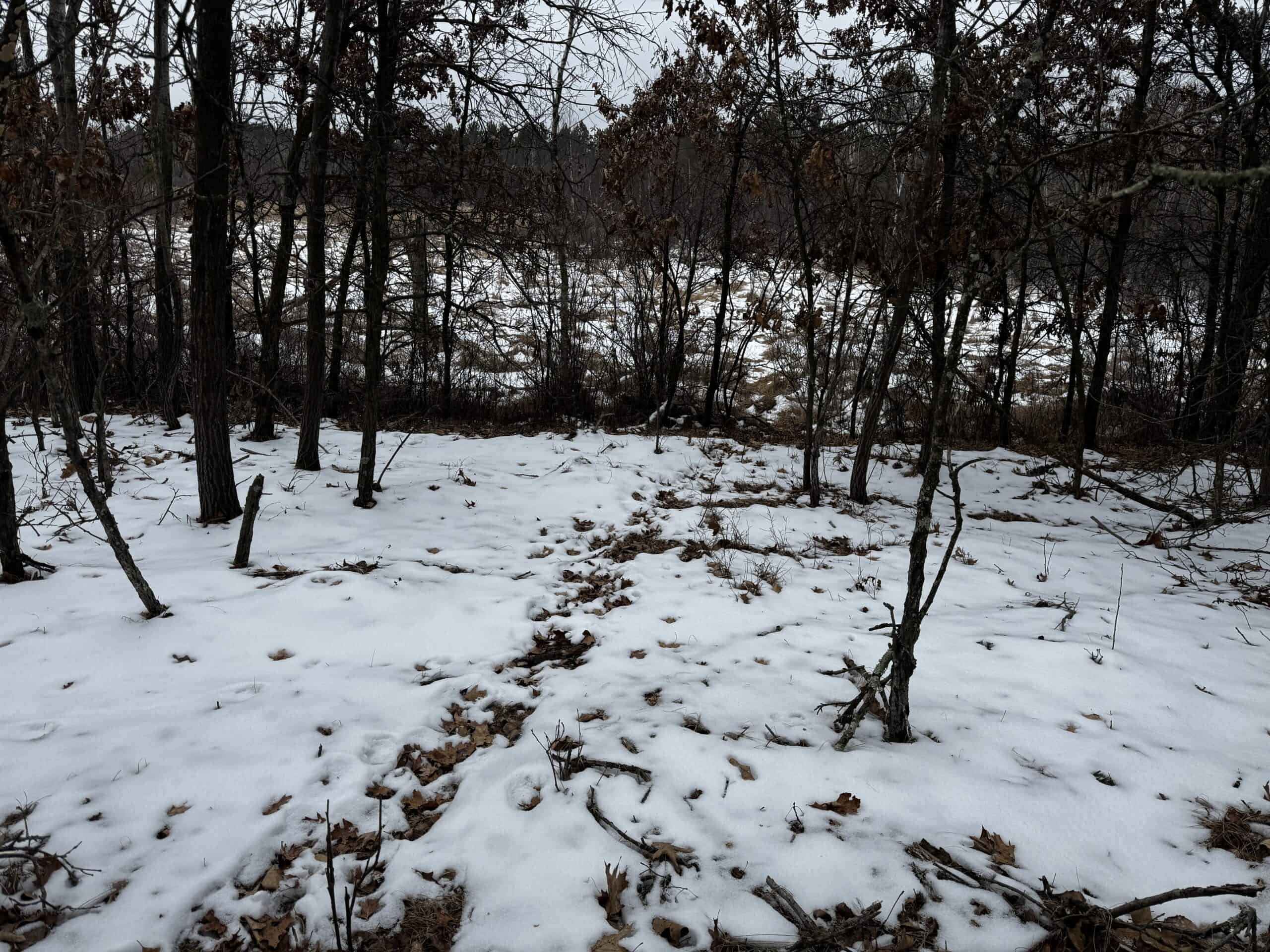 120± acre tract in the Town of Clearfield, Juneau County