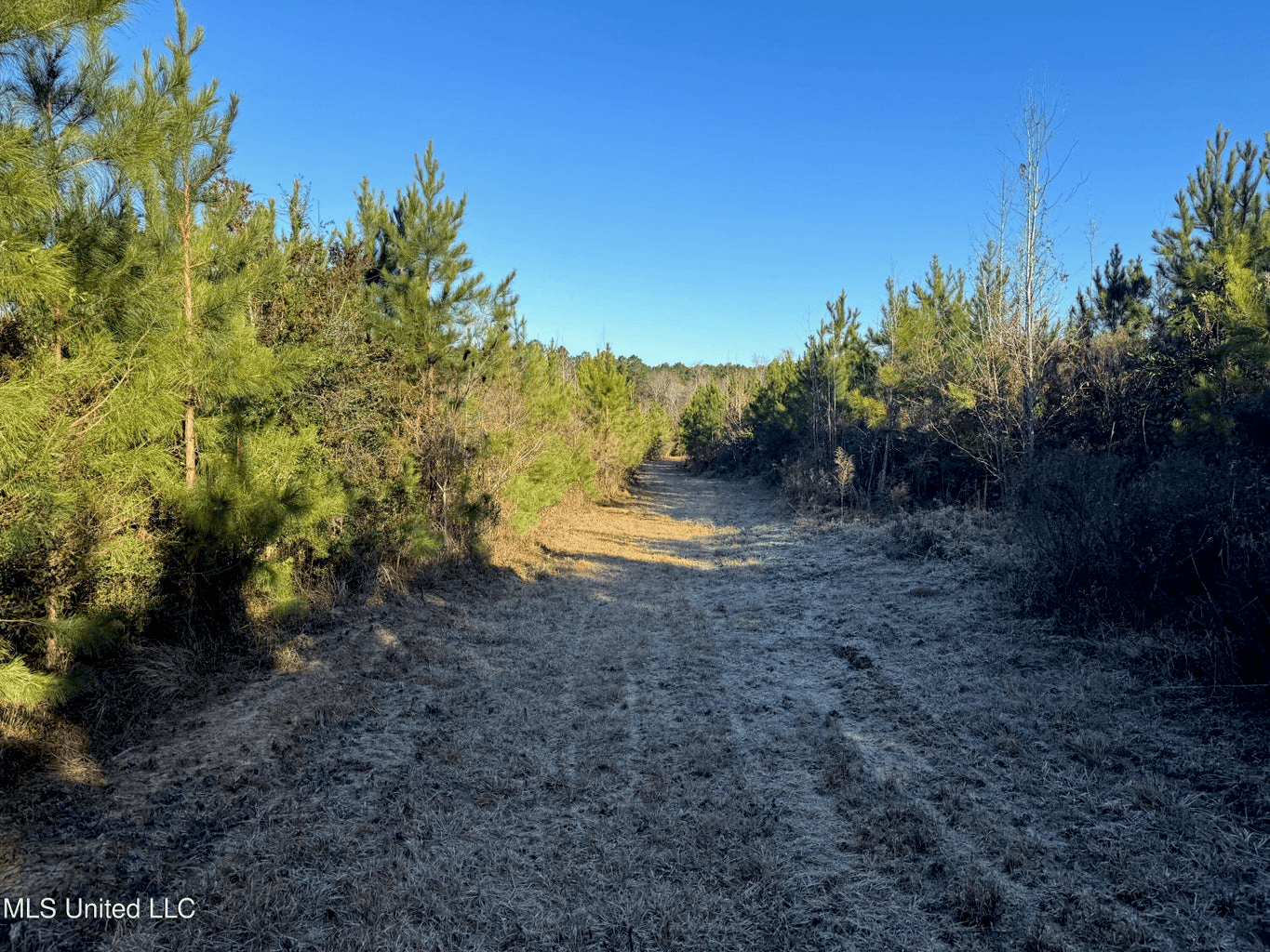 South MS Camp and Land Bordering the National Forest