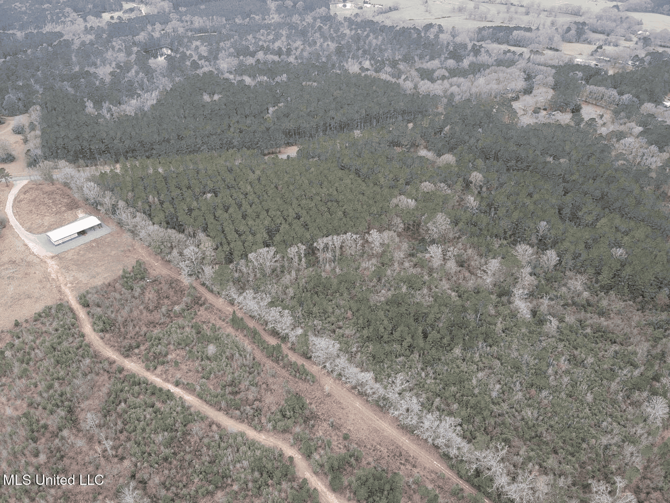 18 Acre Homesite in Magnolia, MS, Pike County