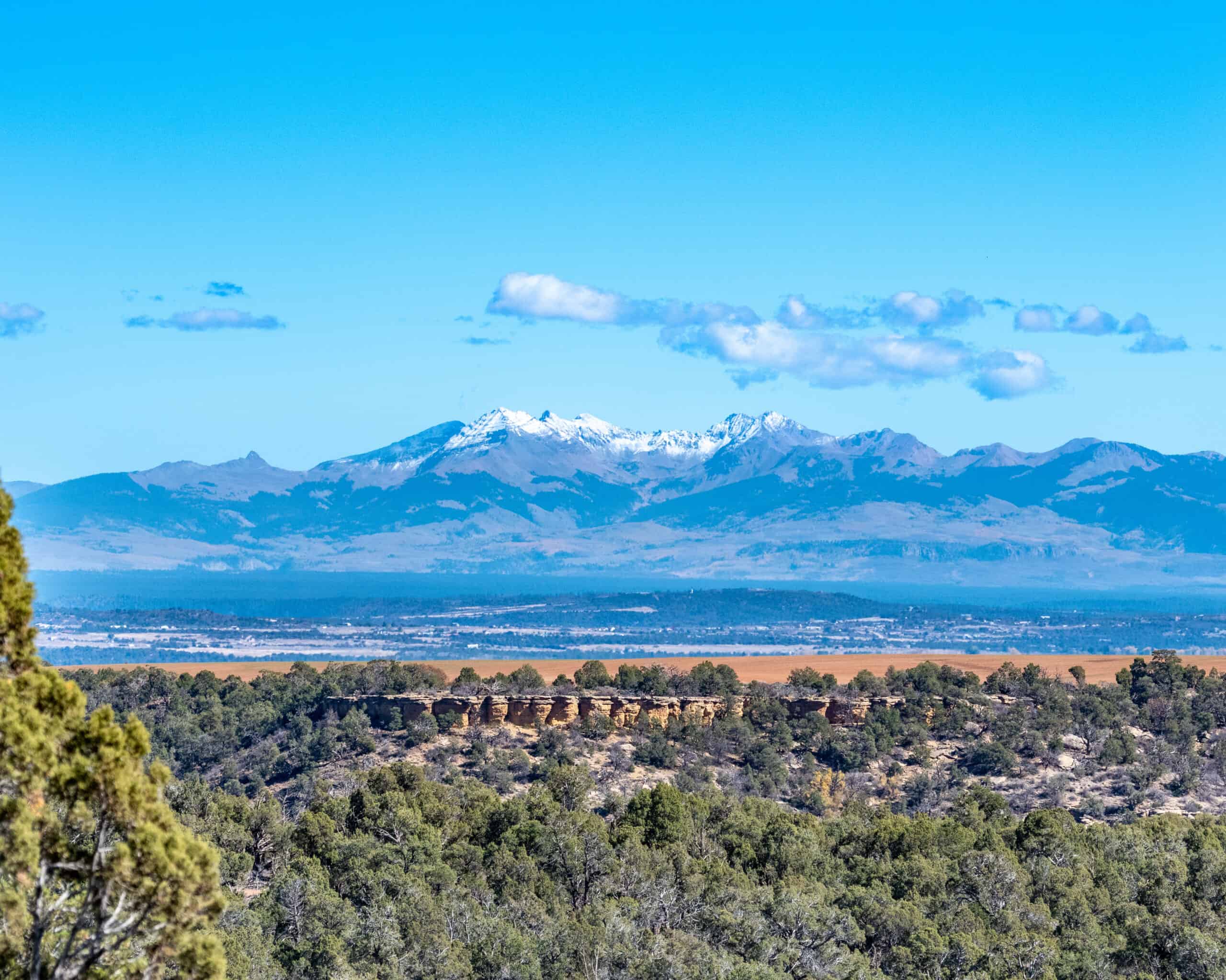 882 Acres Farm near Cortez Colorado For Sale!