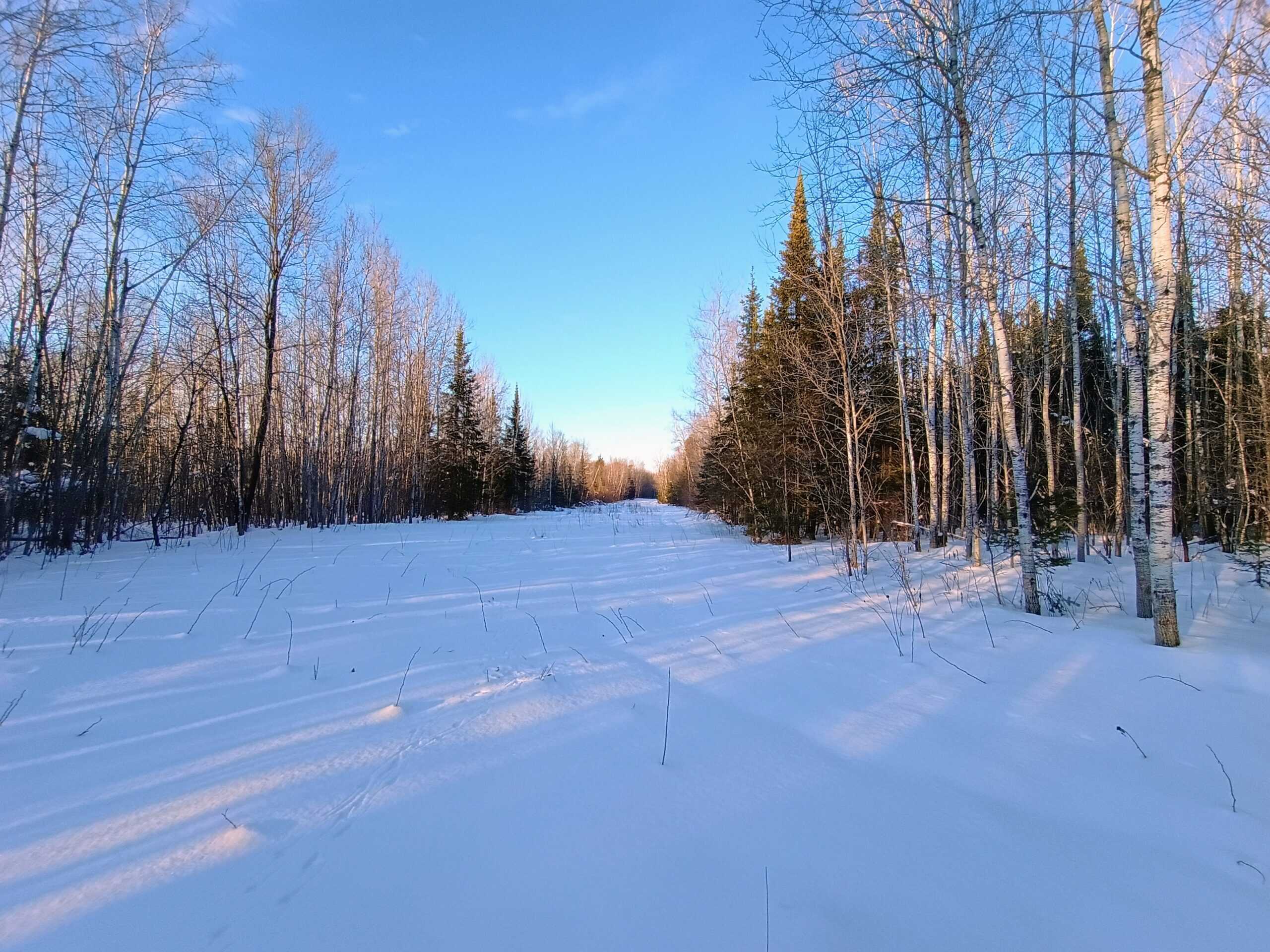 Custom Built Home with 124.16 ± Acres for Sale in Park Falls, WI