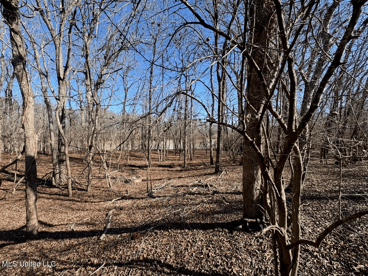Tensas Riverfront Hunting Land Concordia Parish, LA