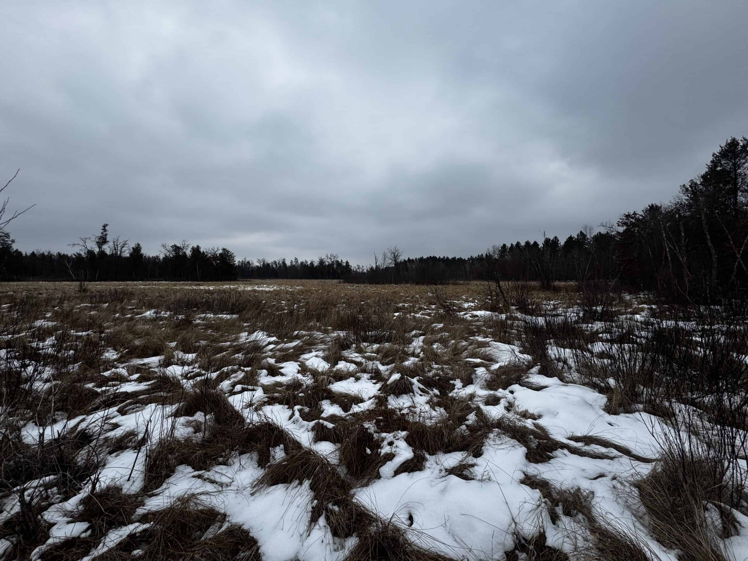 120± acre tract in the Town of Clearfield, Juneau County
