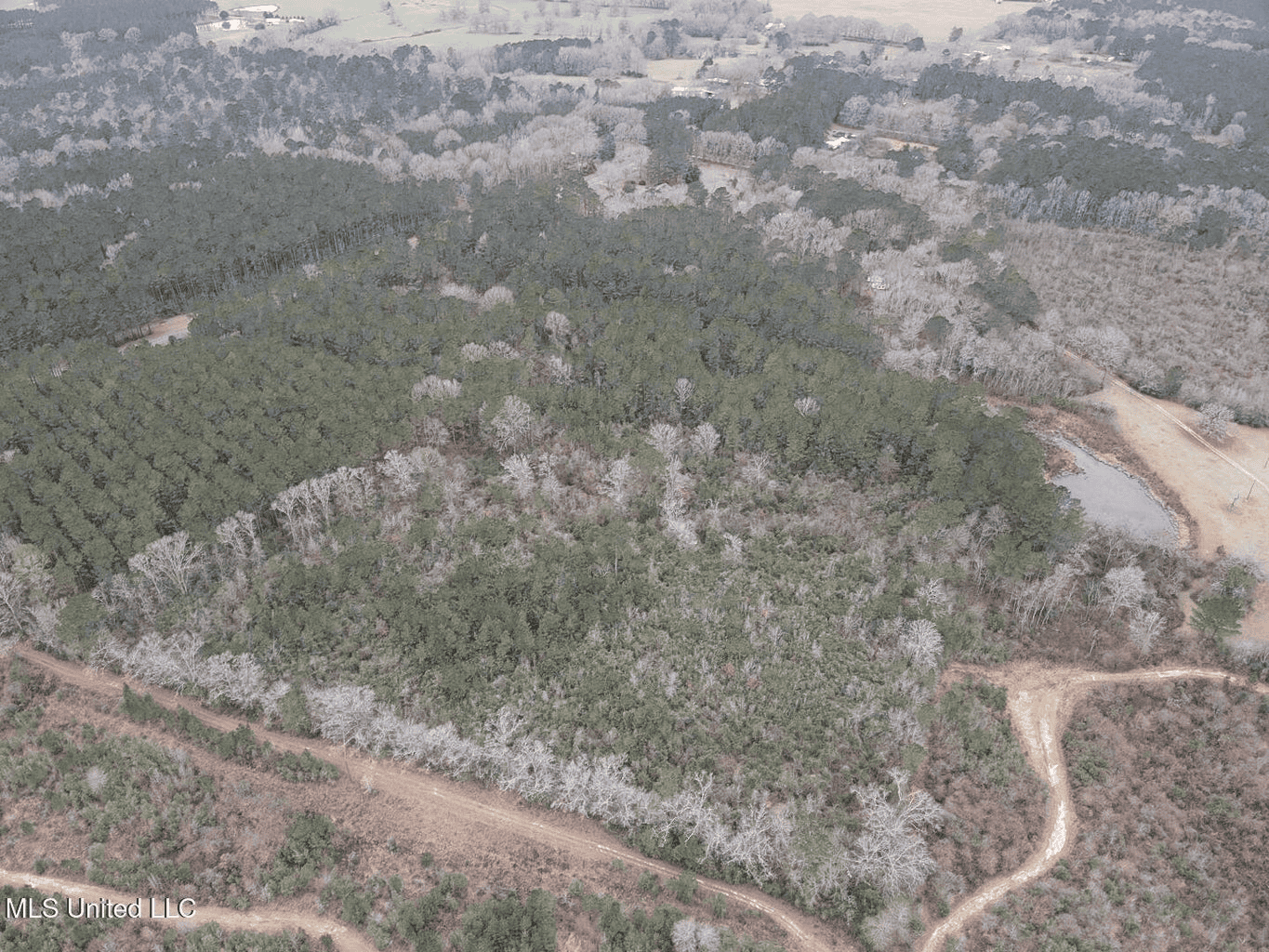 18 Acre Homesite in Magnolia, MS, Pike County