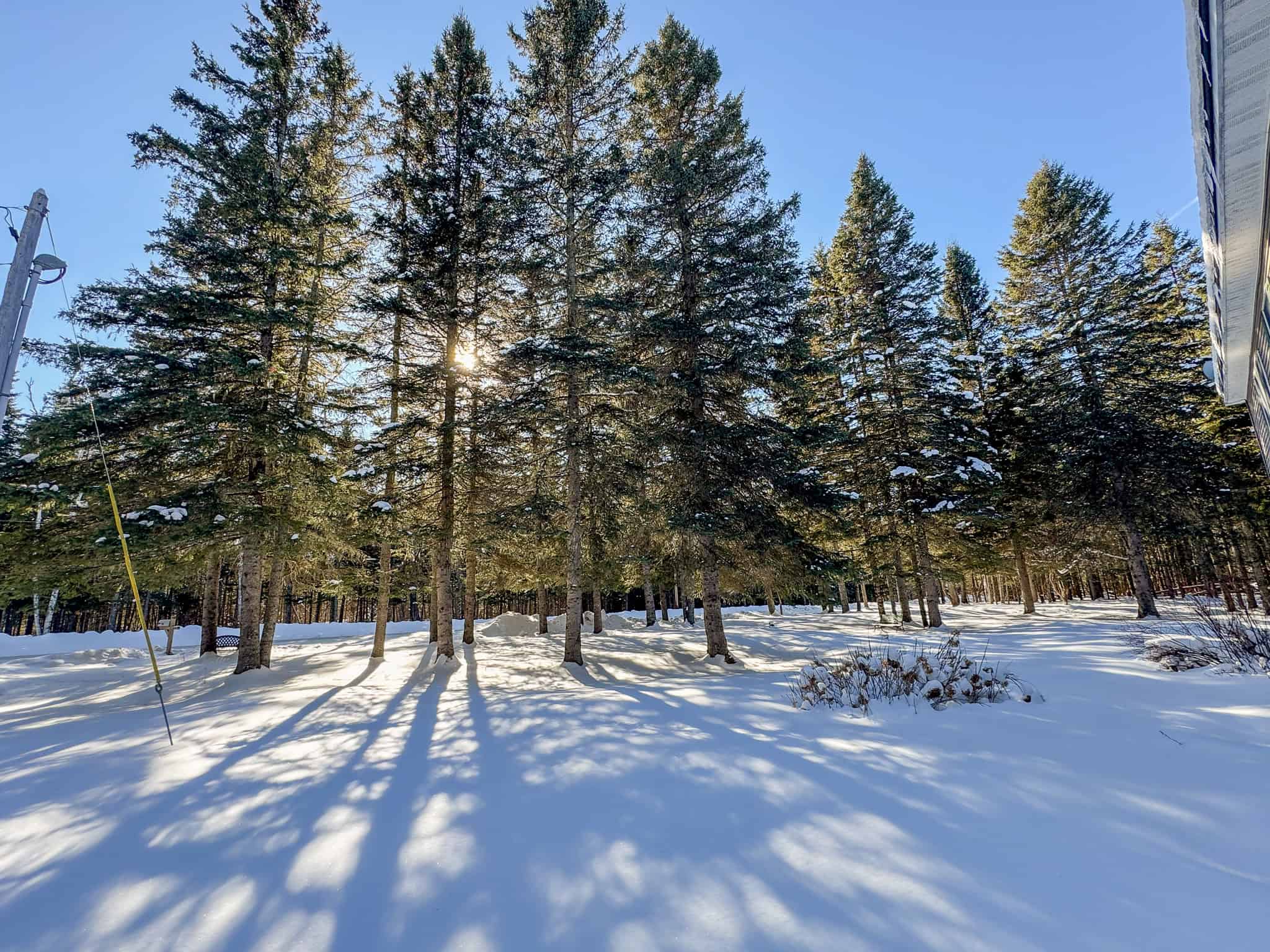 ICF Home on 20.5 Acres at the Gateway to the North Maine Woods