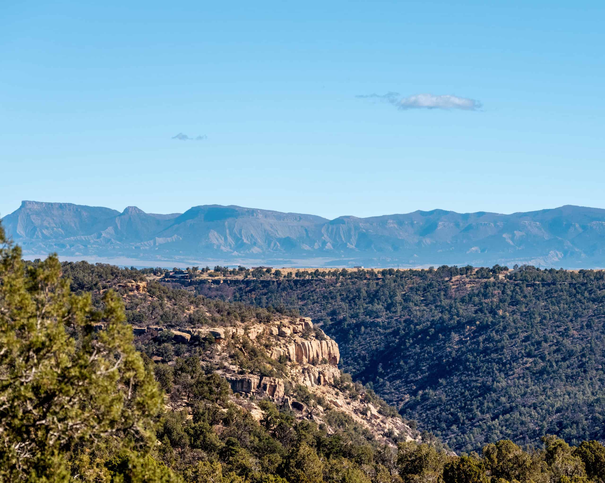 882 Acres Farm near Cortez Colorado For Sale!