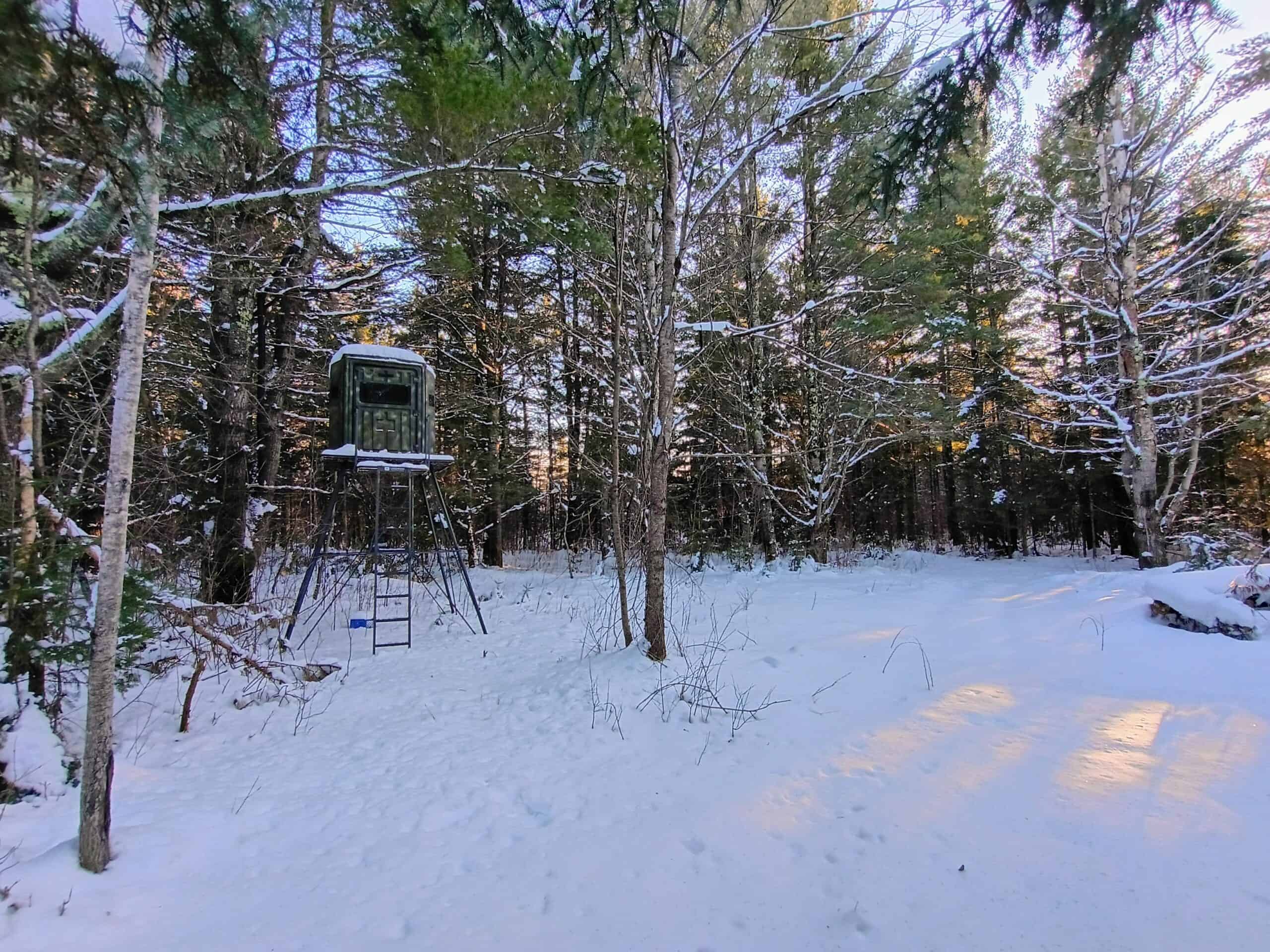 Custom Built Home with 124.16 ± Acres for Sale in Park Falls, WI