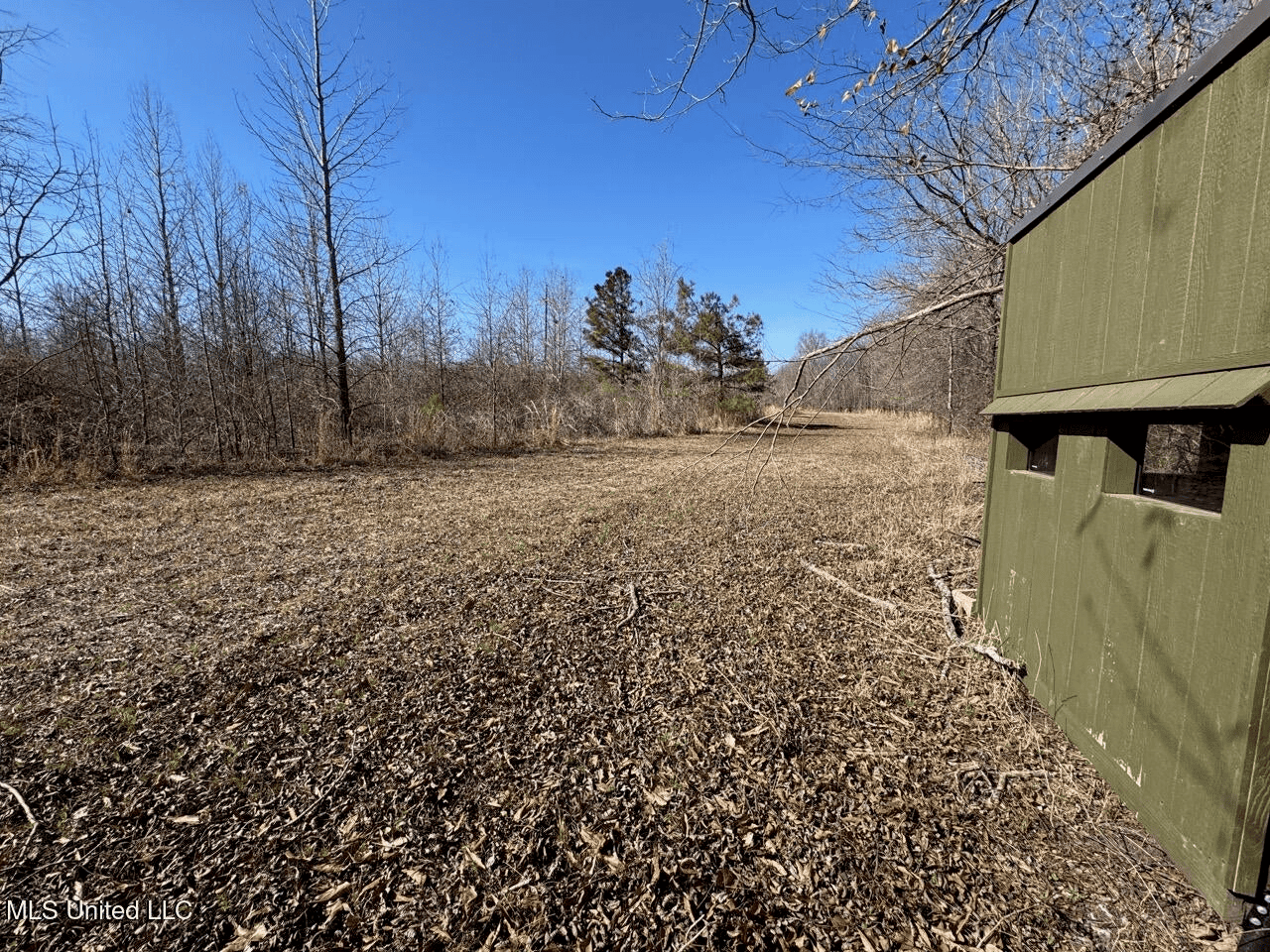 Tensas Riverfront Hunting Land Concordia Parish, LA