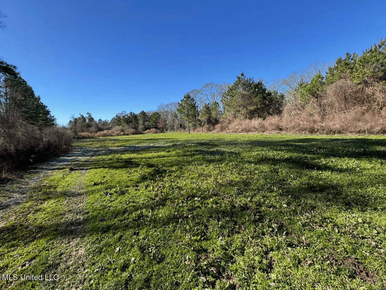 255 Acres East Baton Rouge Parish Near Zachary, LA