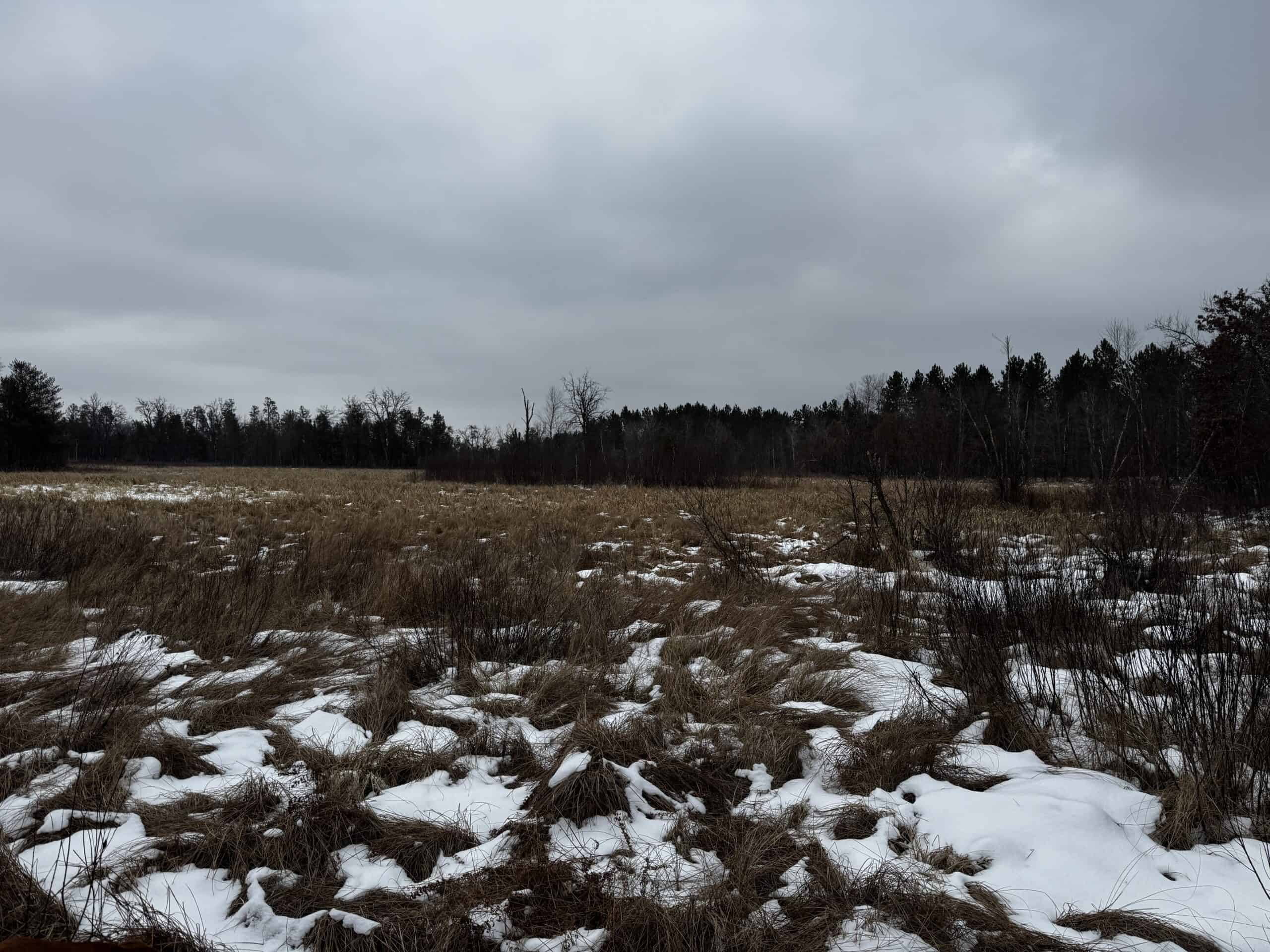 120± acre tract in the Town of Clearfield, Juneau County