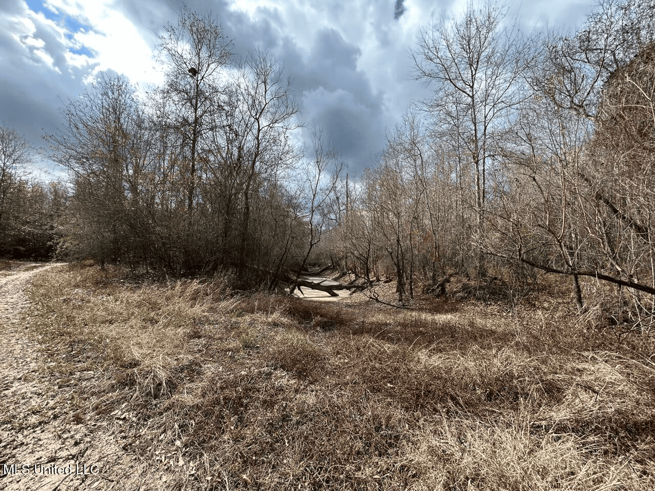 700 Acres in Allen Parish, Louisiana