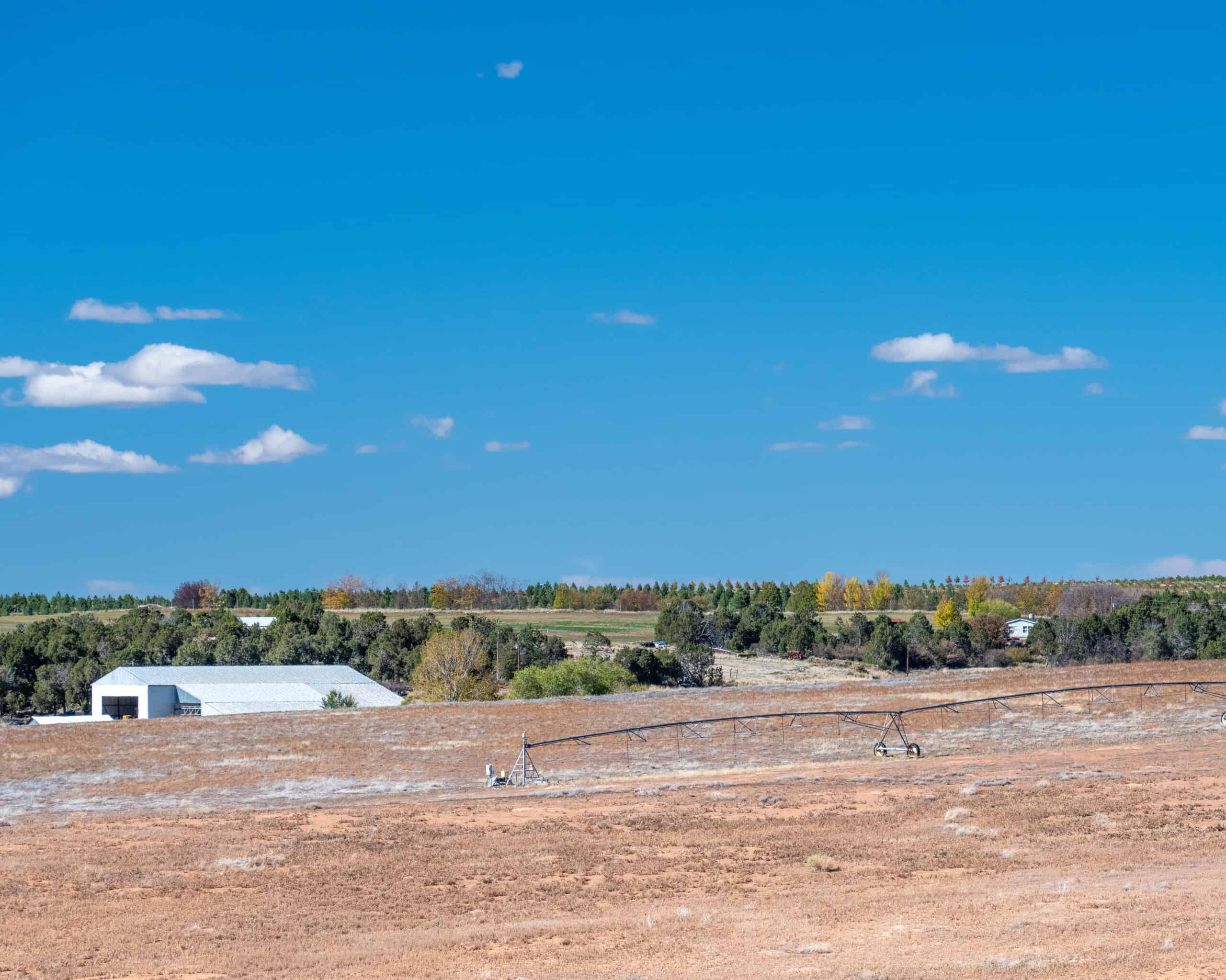 882 Acres Farm near Cortez Colorado For Sale!