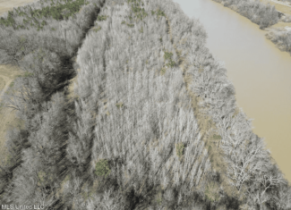 Tensas Riverfront Hunting Land Concordia Parish, LA