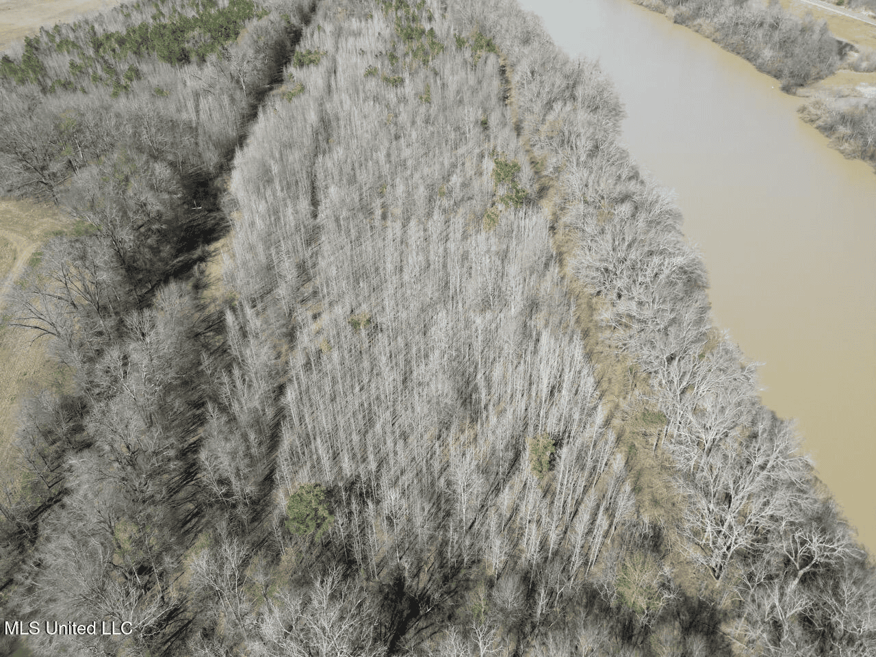 Tensas Riverfront Hunting Land Concordia Parish, LA