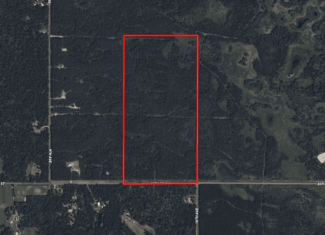 80± acre parcel in the Town of Necedah, Juneau County