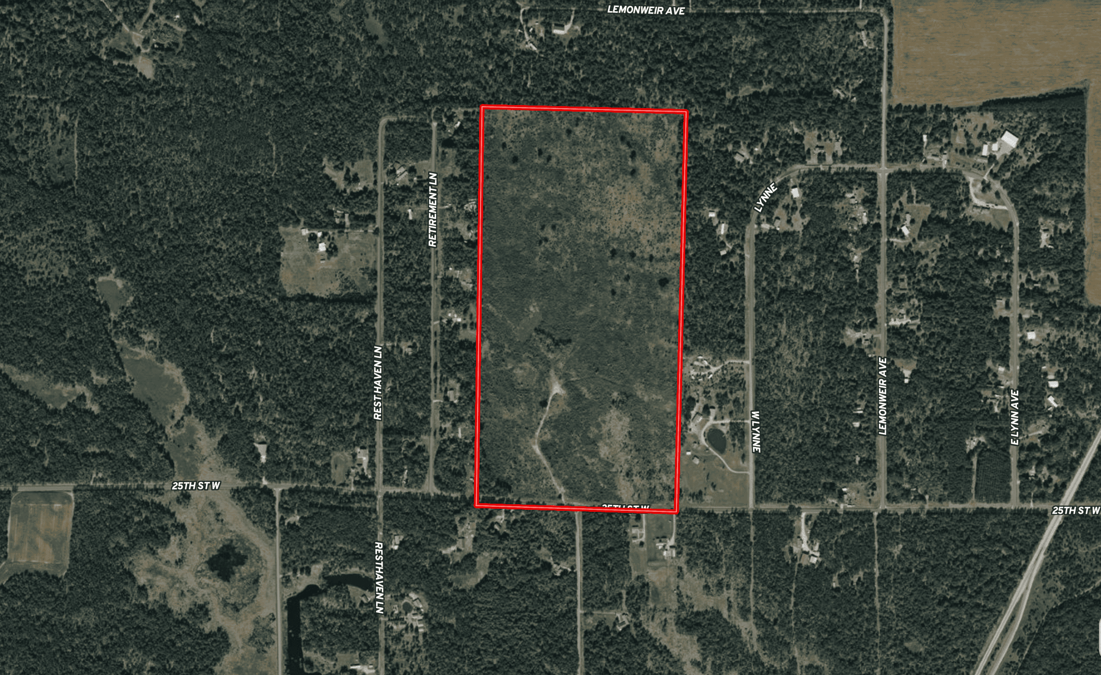 80 Acres of Juneau County Timber Land