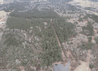 16 Acre Homesite in Magnolia, MS Pike County