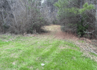 18 Acre Homesite in Magnolia, MS, Pike County