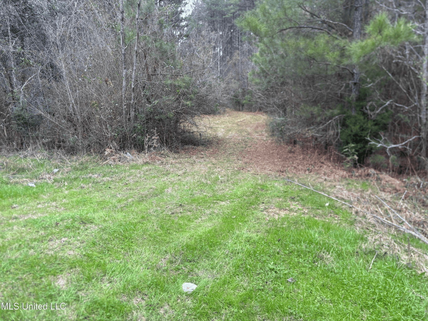18 Acre Homesite in Magnolia, MS, Pike County