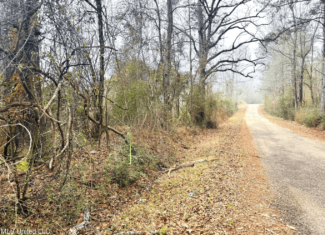 Hunting & Homesite Land Near Tylertown, MS