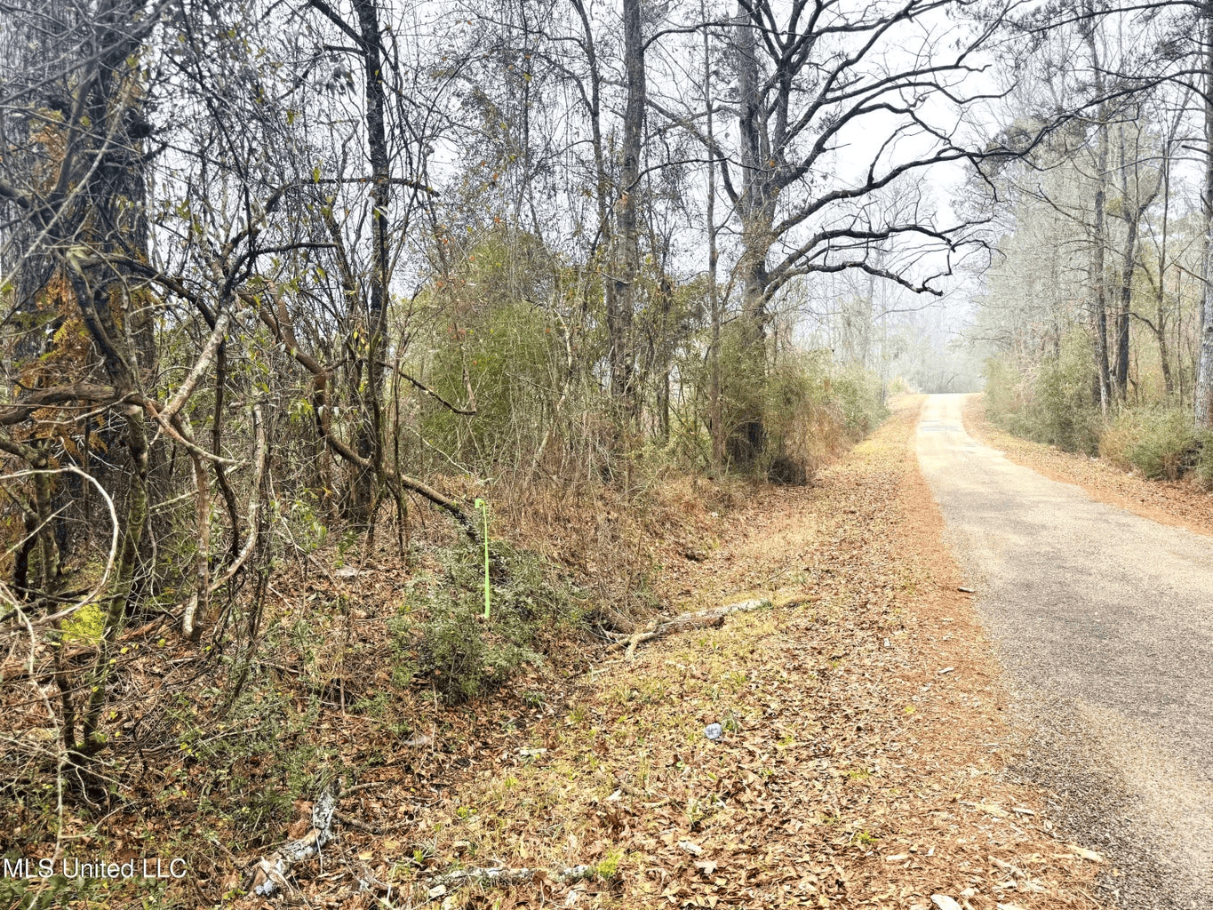 Hunting & Homesite Land Near Tylertown, MS